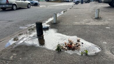 Reportan bote de aguas blancas en avenida Libertador con Bella Vista