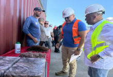 Venezuela exporta 306 toneladas de algas marinas rumbo a Chile y Túnez