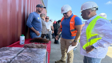 Venezuela exporta 306 toneladas de algas marinas rumbo a Chile y Túnez