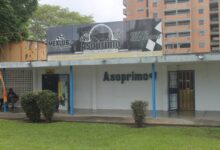 Asoprimo asegura que el precio del ganado se mantiene en Monagas