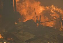Al menos 16 muertos deja la ola de incendios forestales en Chile