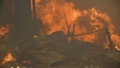 Al menos 16 muertos deja la ola de incendios forestales en Chile