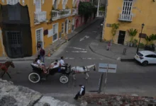 Cartagena sustituye coches de caballos por carruajes eléctricos
