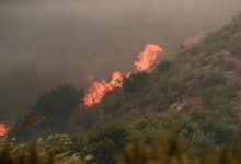Declaran estado de catástrofe por incendios forestales en Chile