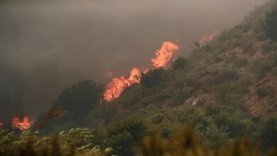 Declaran estado de catástrofe por incendios forestales en Chile