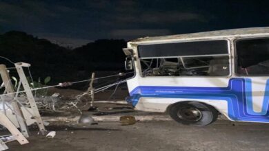 Choque de buseta contra poste deja varios heridos y una mascota fallecida