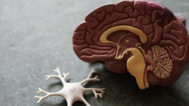 Científicos logran avances que sugieren que el Alzheimer podría ser reversible