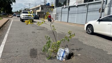 Reportan nuevo hueco en plena avenida principal de Las Brisas del Orinoco