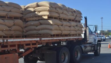 Siete contenedores de café verde parten desde Lara a Estados Unidos