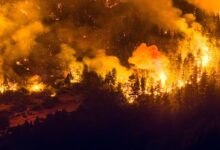 Incendio en la Patagonia argentina ya arrasó con 11.970 hectáreas