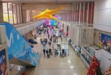 Vuelos nacionales e internacionales se encuentran activos en Maiquetía