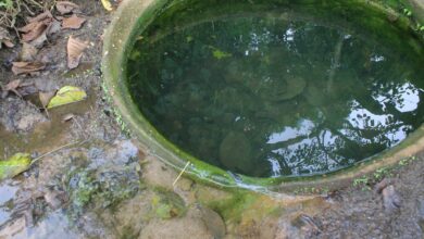 Vecinos de Parari de La Pica se surten de un jagüey tras falla de la bomba de agua