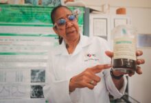 El IVIC desarrolla nanopartículas de hongos para medicina y alimentos