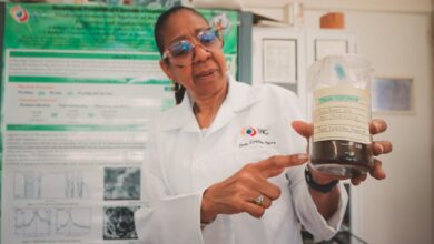 El IVIC desarrolla nanopartículas de hongos para medicina y alimentos