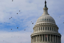 Senado de EE.UU. votará resolución para limitar acciones militares contra Venezuela