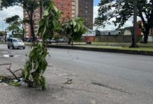 Hueco en plena Av. Libertador en un peligro para los conductores