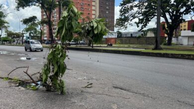 Hueco en plena Av. Libertador en un peligro para los conductores