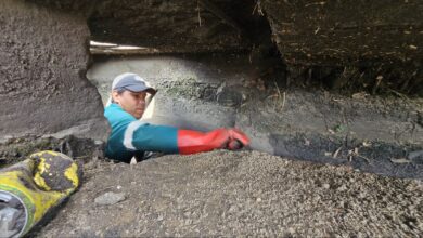 Intensifican saneamiento del sistema de drenaje en la avenida Raúl Leoni