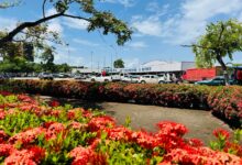 Anuncian modernización para Terminal Interurbano de Maturín