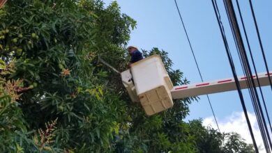 Corpoelec despliega Plan de Control de Vegetación este jueves en el oriente del país