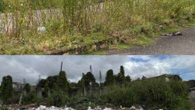 Entre monte y basura caminan los habitantes del sector 23 de Enero