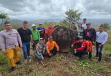 Encuentran petroglifos ancestrales en el municipio Cedeño