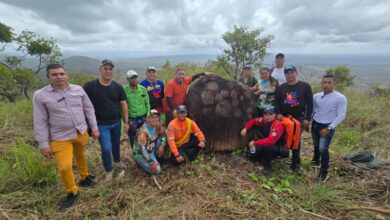 Encuentran petroglifos ancestrales en el municipio Cedeño