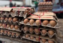 Costos del huevo sube a Bs. 2.300 y el queso se mantiene entre Bs. 1600 y 1.800