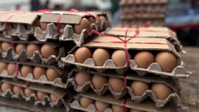 Costos del huevo sube a Bs. 2.300 y el queso se mantiene entre Bs. 1600 y 1.800