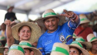 Este domingo 11 de enero, el sector campesino votará por sus representantes municipales
