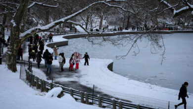 Declaran emergencia ante tormenta de nieve y frío extremo en Nueva York