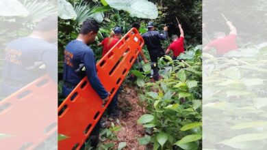 Joven fallece tras caída de una rama en Táchira