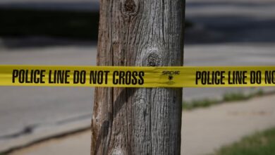 Niño de 11 años mata a su padre tras una discusión por una consola de videojuegos