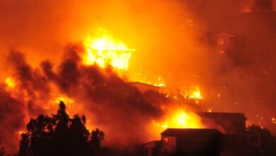 Aumenta a 19 la cifra de muertos por incendios forestales en Chile