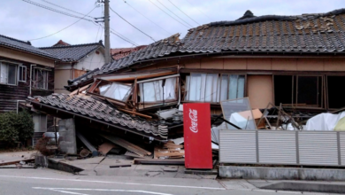Pánico en el oeste de Japón por enjambre sísmico de 33 temblores