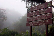 Extinguido incendio en el Parque Nacional Henri Pittier tras 4 horas de combate