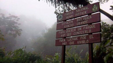 Extinguido incendio en el Parque Nacional Henri Pittier tras 4 horas de combate