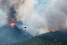 Chile ofrece ayuda a Argentina para combatir los incendios en la Patagonia