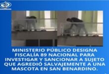 MP imputará a sujeto por brutal agresión contra un canino en Caracas