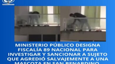 MP imputará a sujeto por brutal agresión contra un canino en Caracas