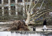 Portugal declara situación de calamidad: El temporal Kristin deja cinco muertos y graves destrozos