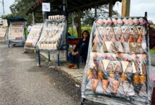 Dulces de El Corozo, La Candelaria y el Furrial en Maturín tradición que persiste en el tiempo