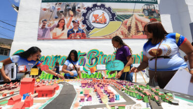 Delcy Rodríguez anuncia la carga de más de 36 mil proyectos para la Consulta Popular