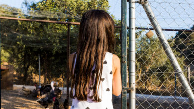 Fallece niña de seis años tras mordedura de serpiente "Tigra Mariposa"