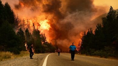Patagonia en cenizas: 45 mil hectáreas consumidas y el fuego sigue indomable