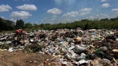 Sigue la acumulación de basura en la vía principal de José Tadeo Monagas y Las Terrazas