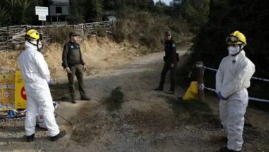 España detecta un caso de gripe porcina en una persona sin contacto con animales
