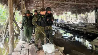 Localizan y destruyen campamento logístico de narcotráfico en Delta Amacuro