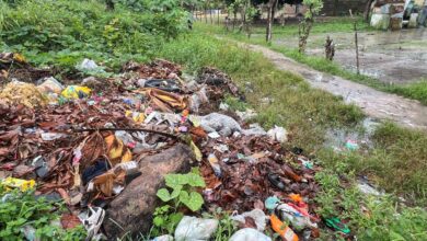 Vertedero de basura afecta a más de 300 familias en el sector Fuente de Paz
