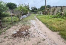 Más de 20 años sin servicios básicos tienen los habitantes en Fuente de Paz